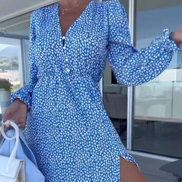 Women’s Blue Printed V-neck Long-sleeve Dress